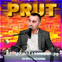 Formatia Prut — La Despărțire — обложка
