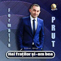 Formatia Prut — Hai Fraților Și-Om Bea — обложка